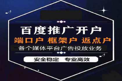 专业SEM托管服务成功案例分享